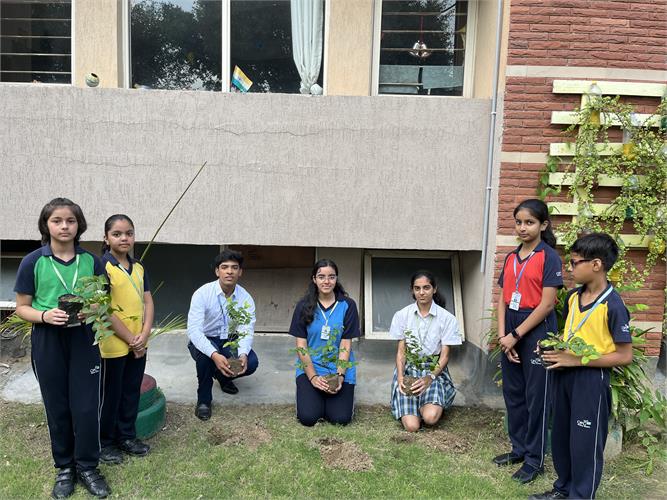 Students working together on sustainability project